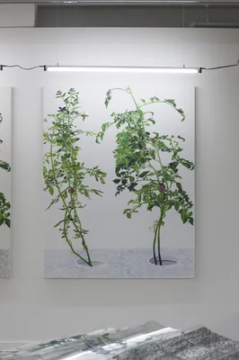 20150226 Alex Fischer 1 7 and 6000 O'Born Contemporary 51 VII 陈秋林 Chen Qiu Lin documentation.jpg